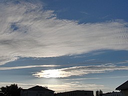 Photo 230